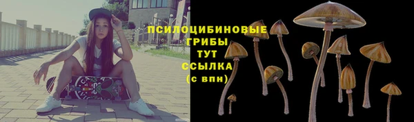 jwh Дмитровск